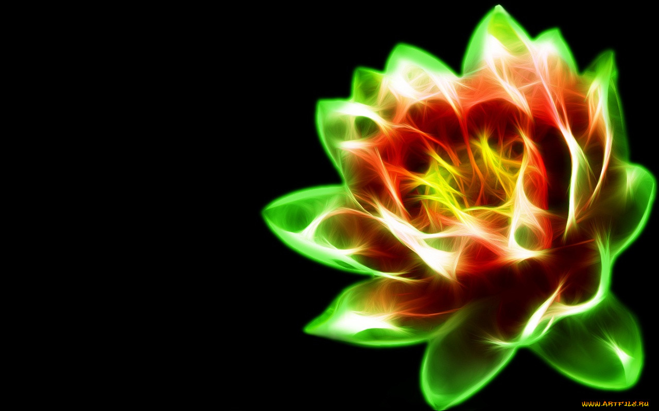 3, , flowers, 